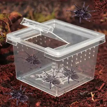 Кутия за отглеждане на влечуги с панти капак Прозрачен Дишаща за жаби, Змии, паяци, Прозрачна Еко-кутия за хранене