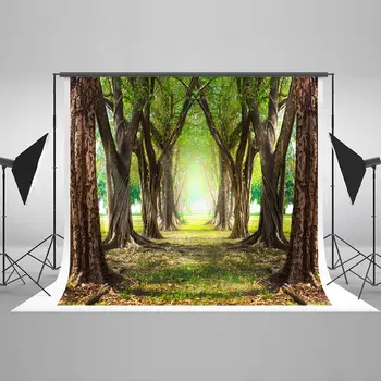 Магическа гора, зелени джунгли, дървета, фонове, висококачествен компютърен печат, на фона на сватбени снимки