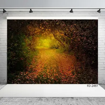Спокоен есенен гора, дърво, есенна път, портрет с листа, на Фона на снимки на деца, новородени, Снимков фон за фото студио