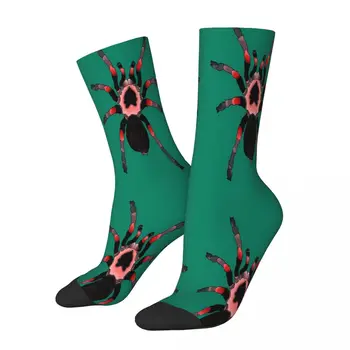 Червени чорапи с животни под формата на Тарантула, паяжини, мъжки, Дамски есенни чорапи с принтом